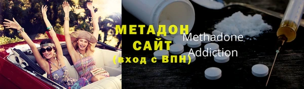 шишки Корсаков