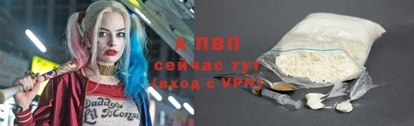 шишки Корсаков