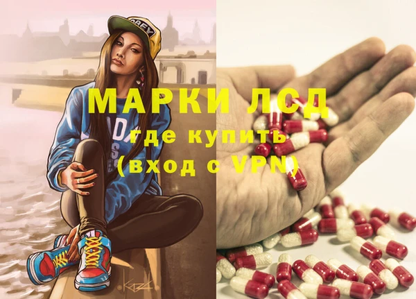 ПСИЛОЦИБИНОВЫЕ ГРИБЫ Коряжма