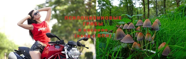 прущая мука Костерёво