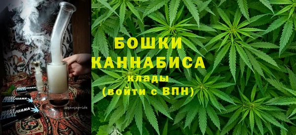 ПСИЛОЦИБИНОВЫЕ ГРИБЫ Коряжма