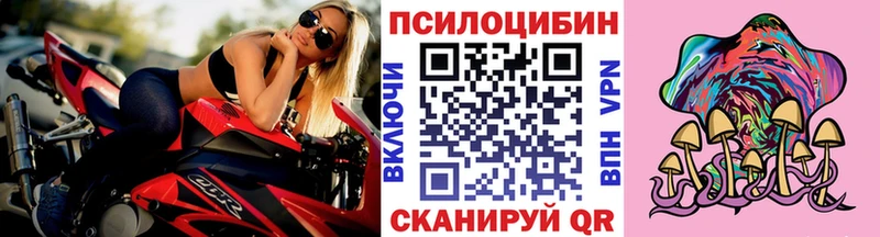 Купить  Шимановск  Псилоцибиновые грибы мухоморы 