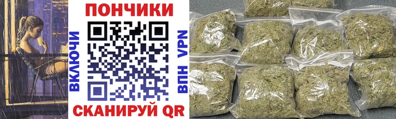 Купить закладки  Шимановск  Бошки Шишки тримм 
